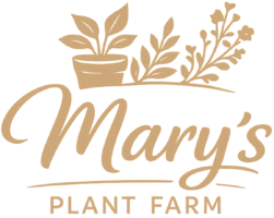 Mary's Plant Farm