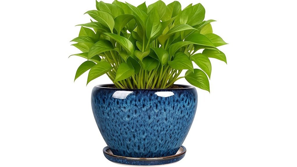 ceramic planter with saucer