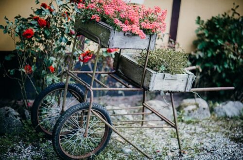 comfortable gardening on wheels