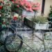comfortable gardening on wheels