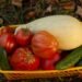 effective fertilizer for squash