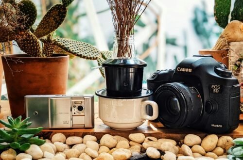 must have plant photography gear