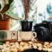 must have plant photography gear