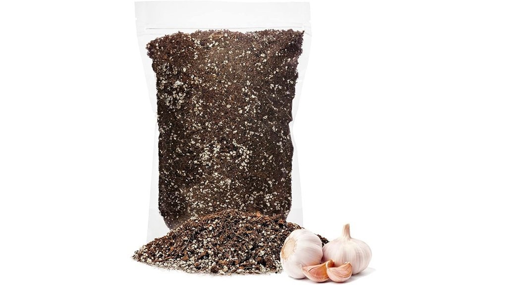 organic potting soil garlic