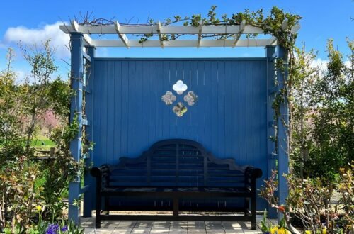 transformative pergola design ideas