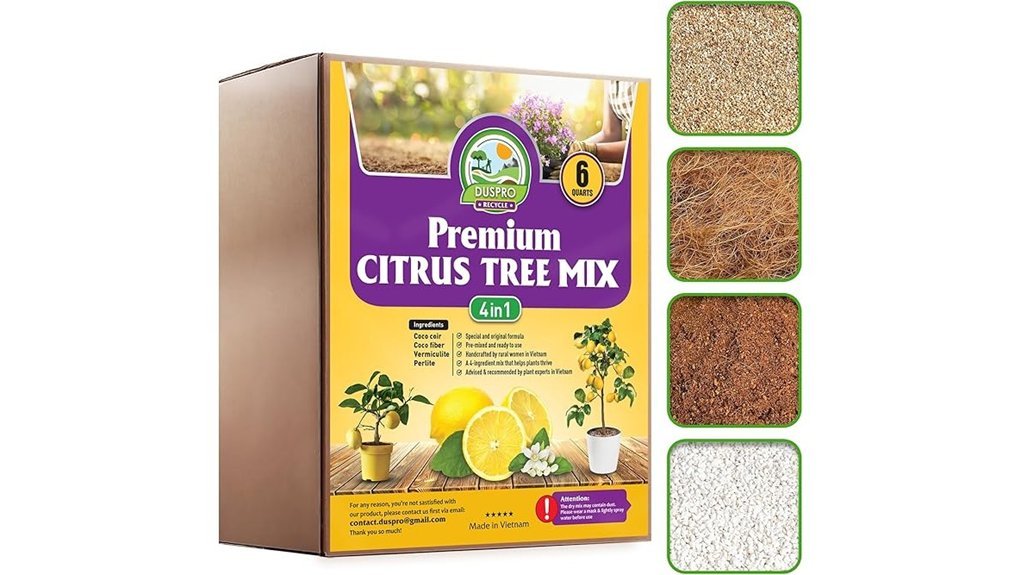 citrus tree potting soil