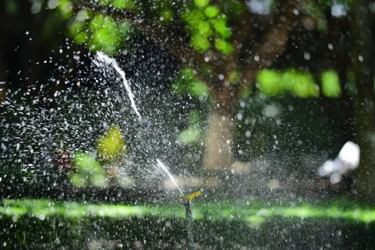 effortless outdoor plant care