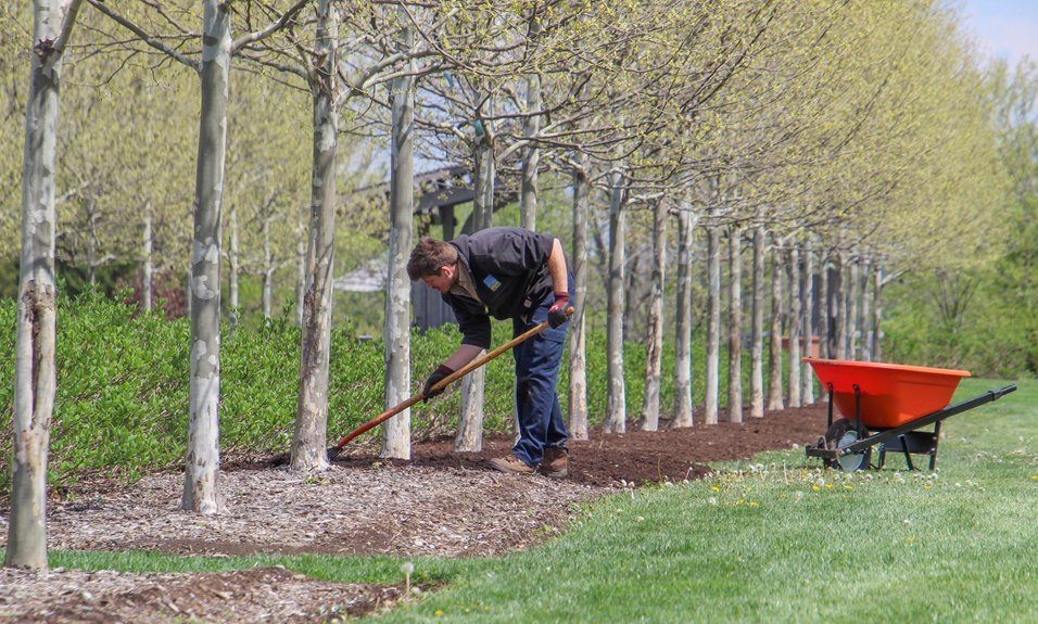 ideal soil for fruit trees