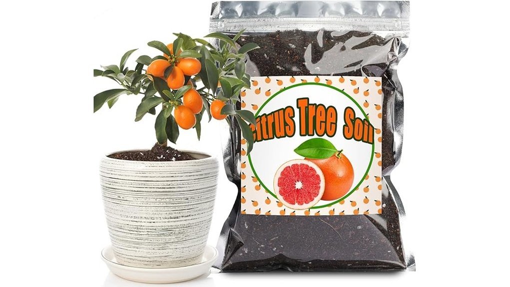 organic potting soil mix