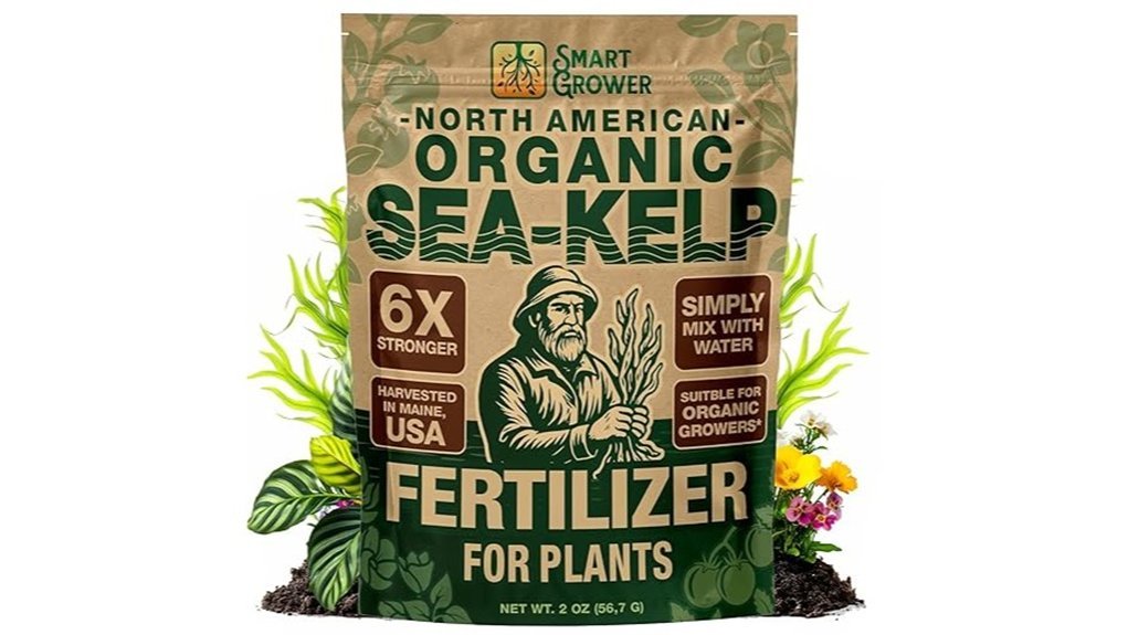 organic sea kelp concentrate