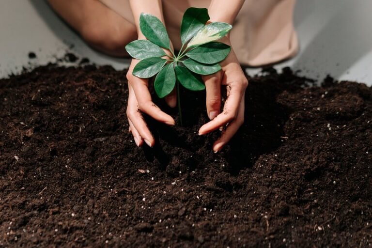 soil types for optimal growth