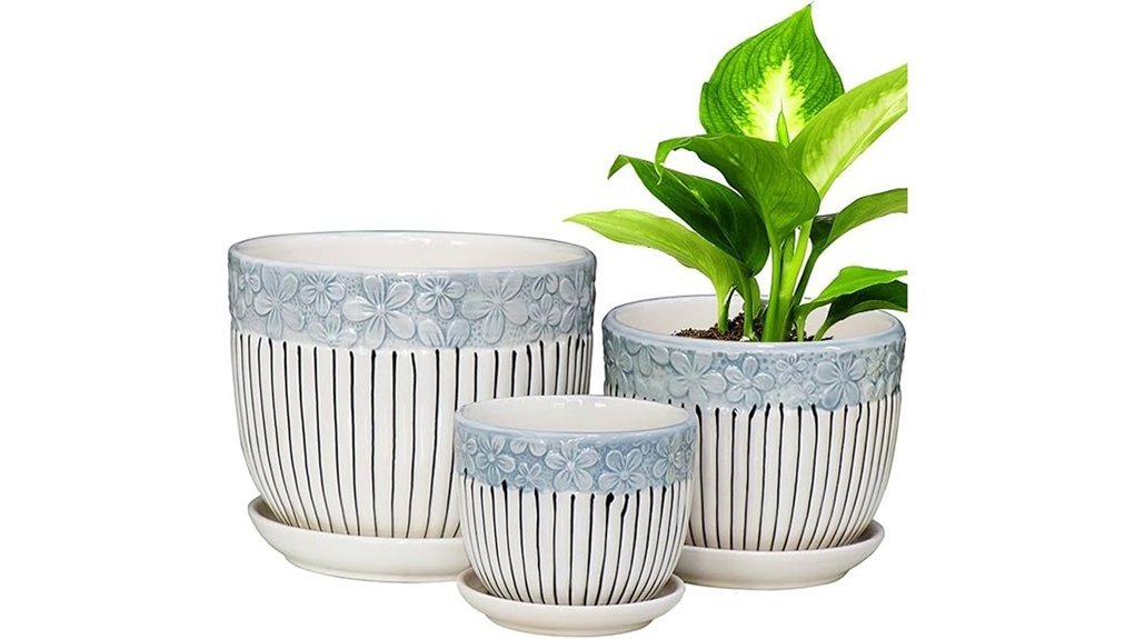 stylish ceramic plant pots