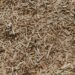 choosing the right ground cover