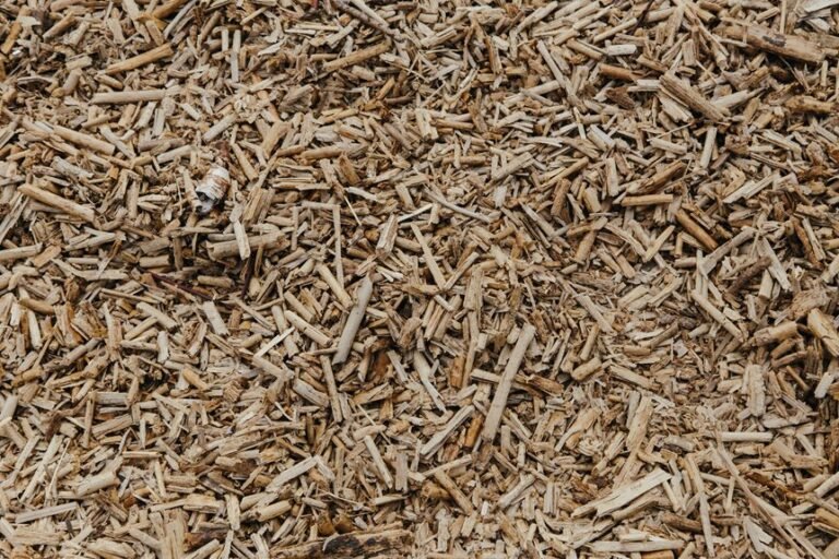 choosing the right ground cover