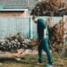 cleaner yard mow strips