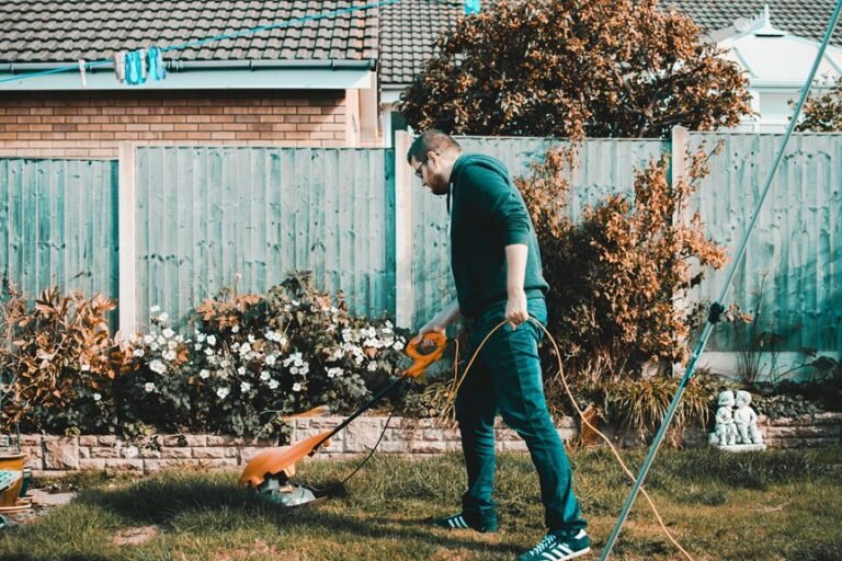 cleaner yard mow strips