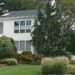 curb enhancing front yard bushes