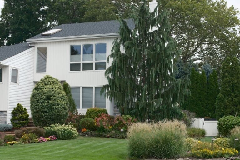curb enhancing front yard bushes