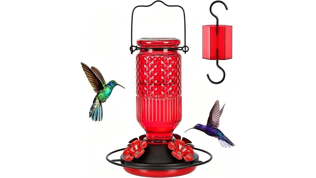glass hummingbird feeder with ant moat