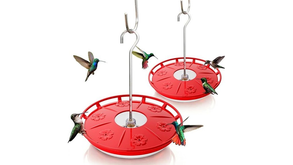 hummingbird feeders pack set
