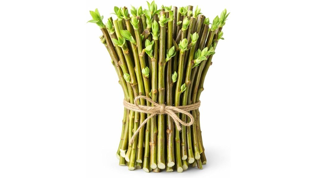 hybrid willow privacy shade