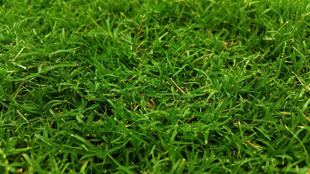 optimal fertilizers for centipede