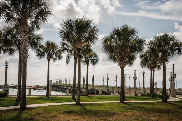 optimal fertilizers for st augustine