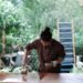 revitalize garden furniture paints