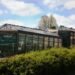 thriving backyard garden greenhouses